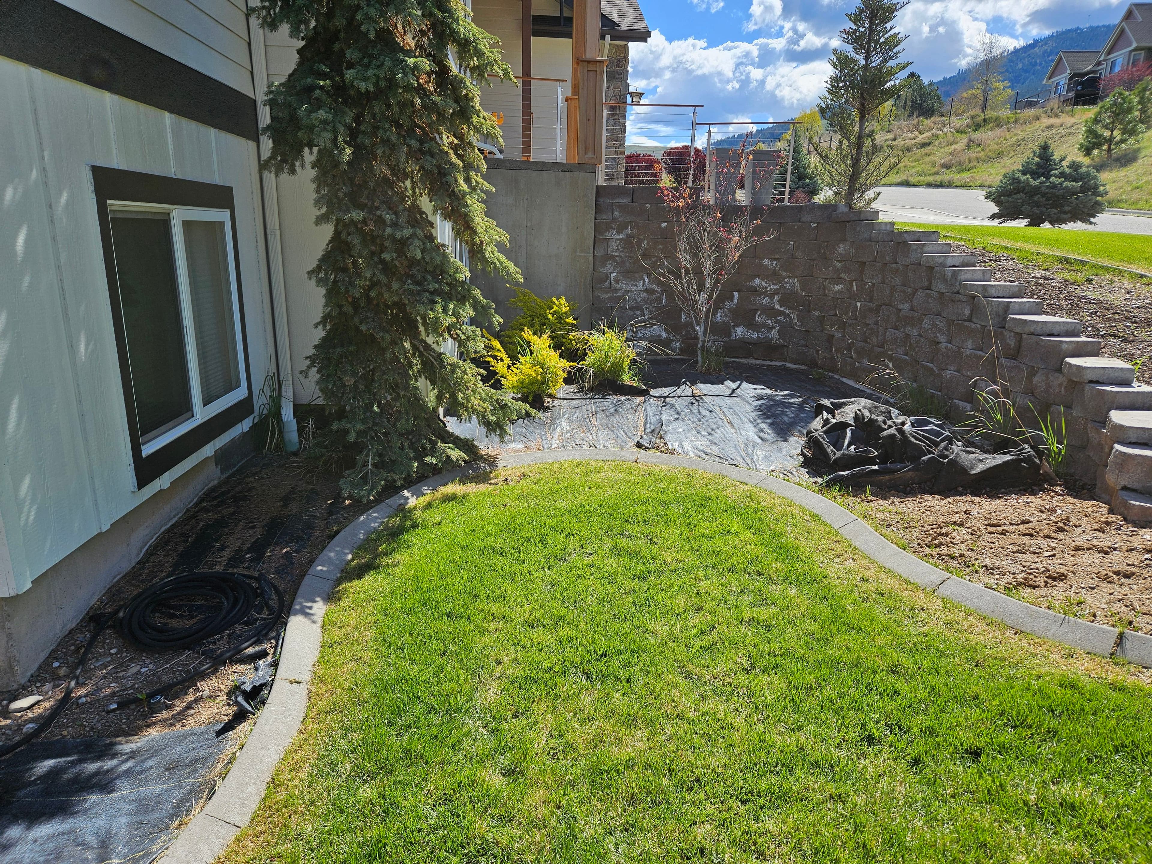 Landscaped garden with black weed barrier fabric, stone wall, and green lawn under blue sky.