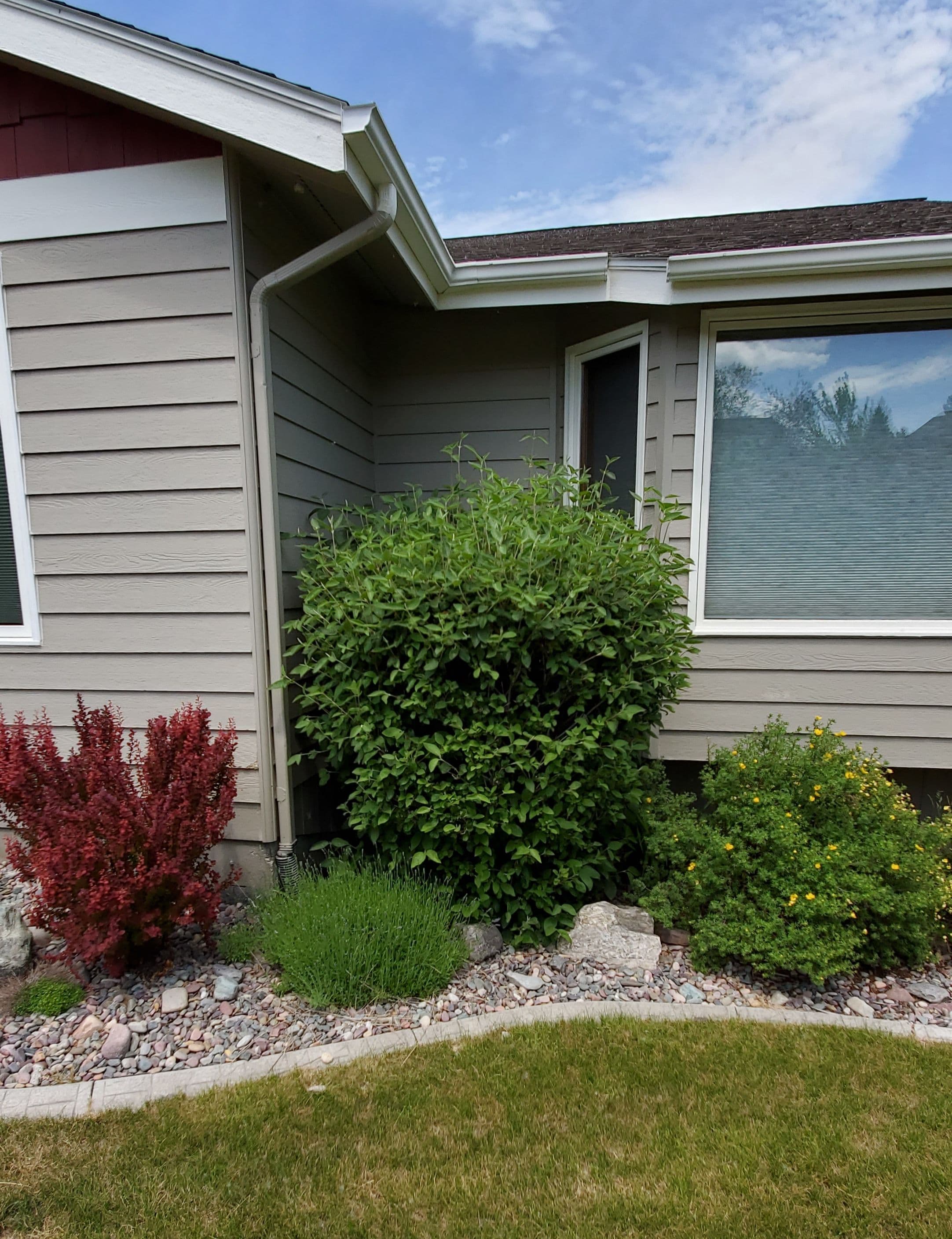 Lush green shrubbery and colorful plants adorn the front yard of a modern home.