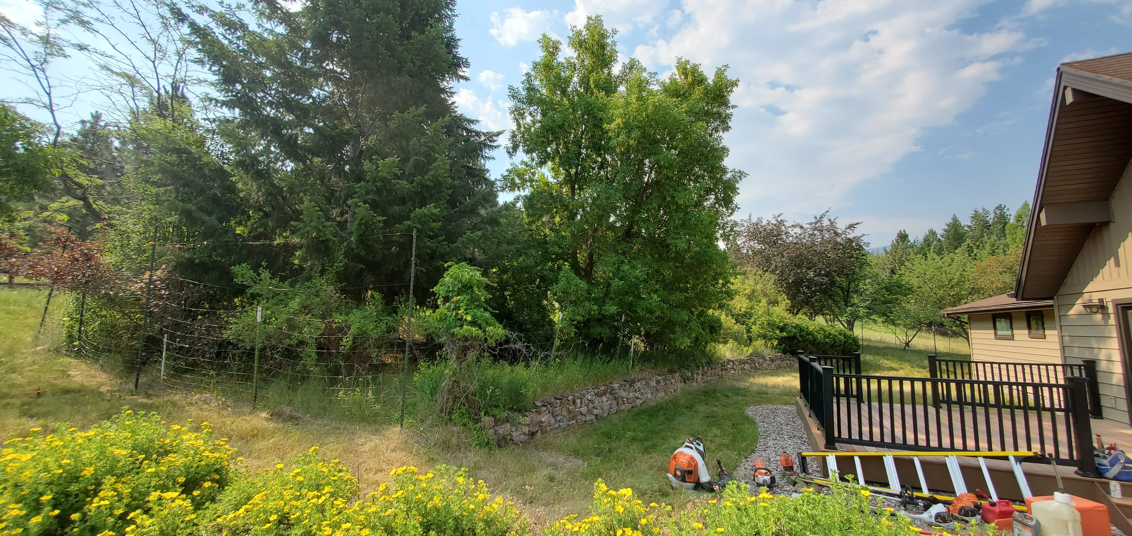 Lush green garden with trees, stone wall, and deck near a house under bright blue sky.