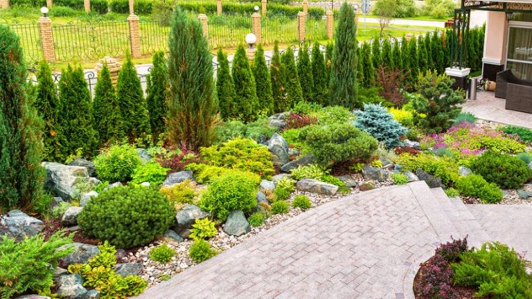 Popular Softscape Landscaping Ideas