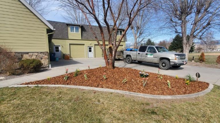 Plant Hardiness Zones & How to Choose The Best Plants for Your Zone