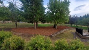 after mulch installation