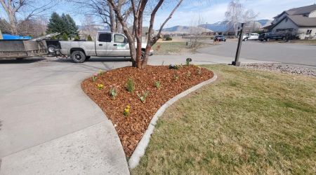 yard cleanup services