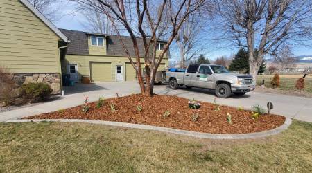 Garden Bed Plantings