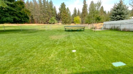 lawn-maintenance-5