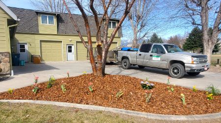 mulch-gallery (1)