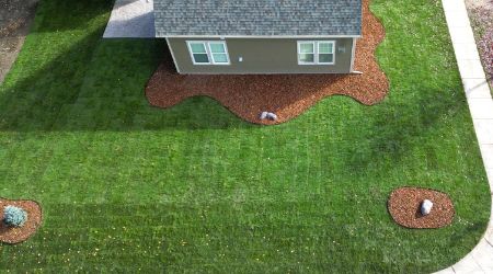 new-lawn-5