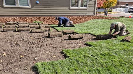 sod-installation
